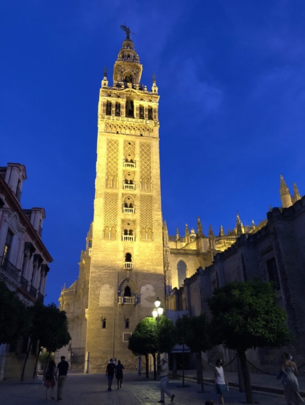 20210608_200414075_iOS