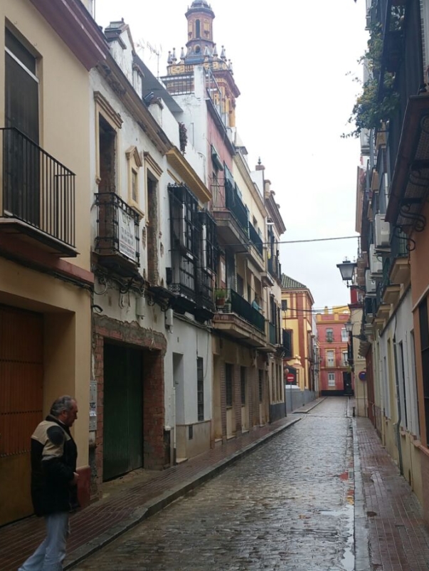 Narrow street lined with traditional houses after the rain